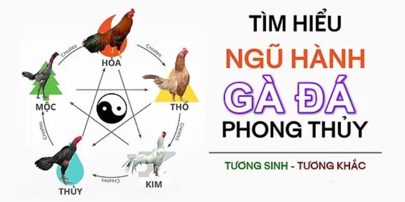 Tìm hiểu bí quyết xem màu mạng đúng cách