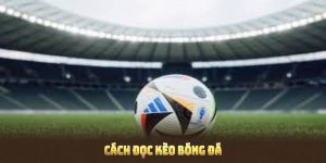 Cách Đọc Kèo Bóng Đá Mà Siêu Game Thủ Không Muốn Để Bạn Biết