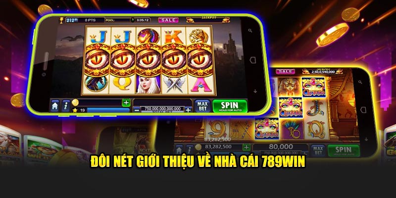 Vài nét giới thiệu tổng quan nhà cái 789WIN