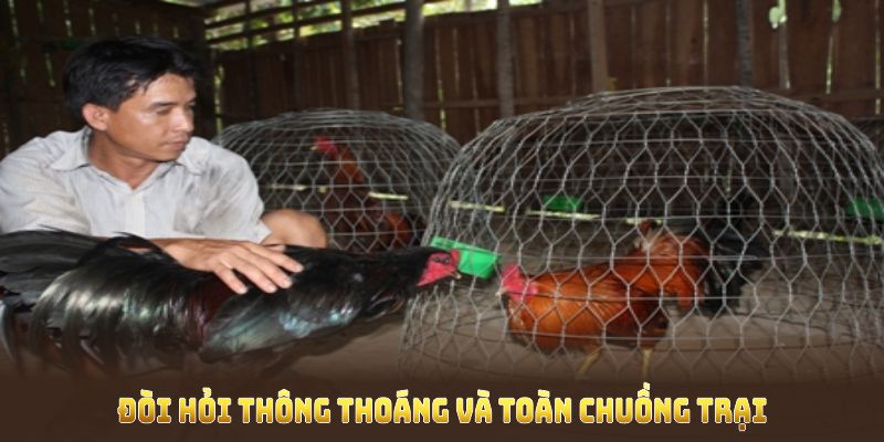 Cách nuôi gà đá chân mạnh đòi hỏi thông thoáng và toàn chuồng trại