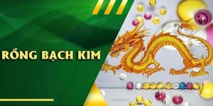 Rồng Bạch Kim: Công Cụ Hữu Ích Giúp Tăng Tỷ Lệ Trúng Thưởng