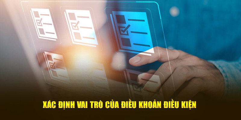 Xác định vai trò của điều khoản điều kiện